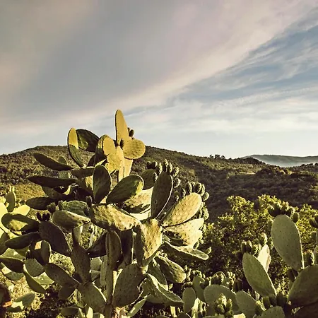 Casale I Cirillo Bed & Breakfast *