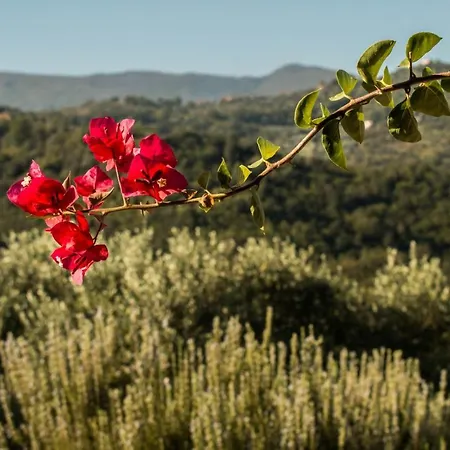 Bed & Breakfast Casale I Cirillo Rutino