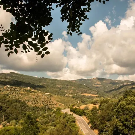 Bed & Breakfast Casale I Cirillo Rutino