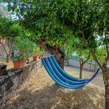 Casale I Cirillo Bed & Breakfast